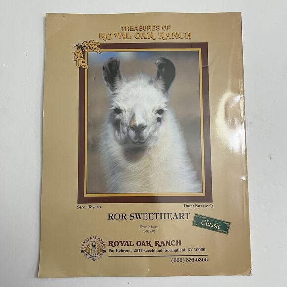 Set of 3 Vintage Llama Banner Magazines April May June July August 1993 - Picture 5 of 16